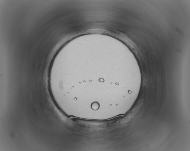 X0000111251430200907301318