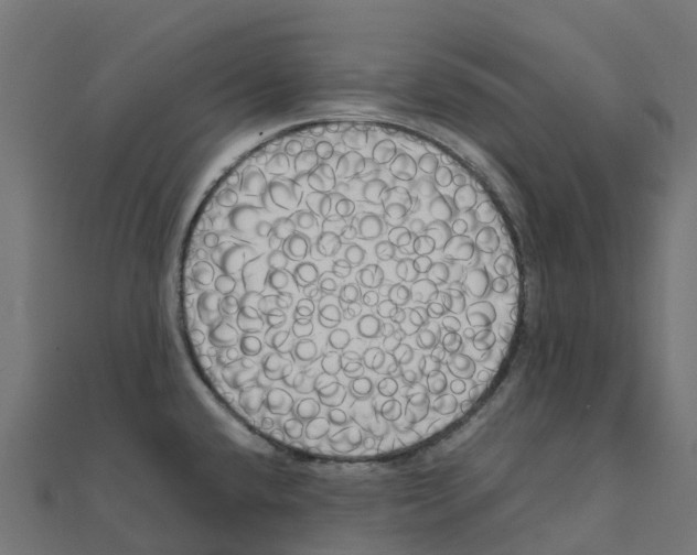 X0000111251432200907301318