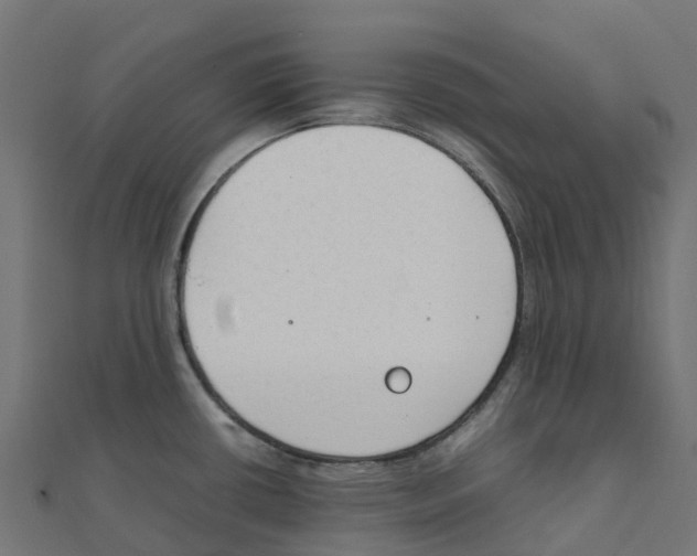 X0000111251434200907301318