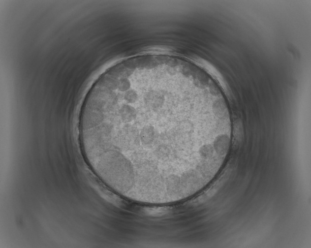 X0000111251435200907301318