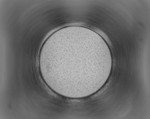 X0000111251436200907301318