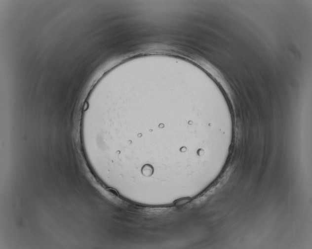 X0000111251437200907301318