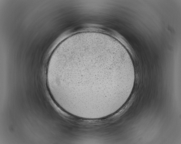 X0000111251438200907301318