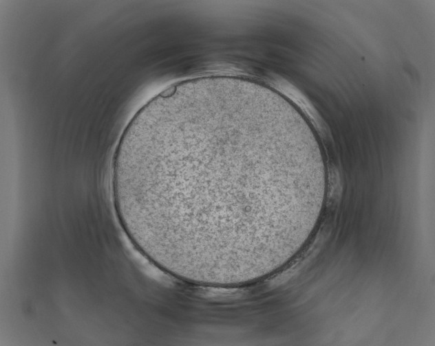 X0000111251439200907301318