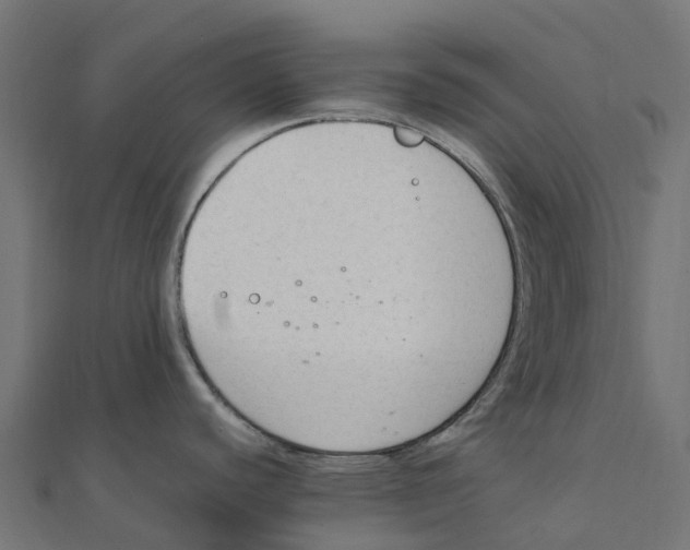 X0000111251440200907301318