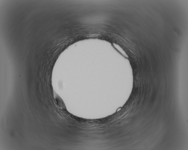 X0000111251441200907301317