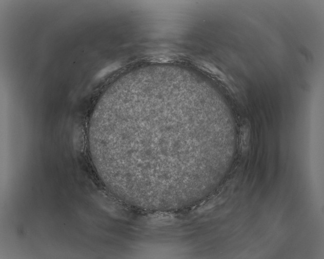 X0000111251446200907301317