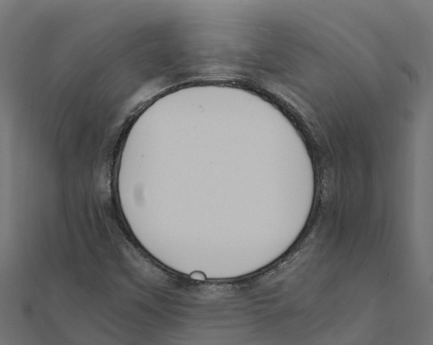 X0000111251451200907301317