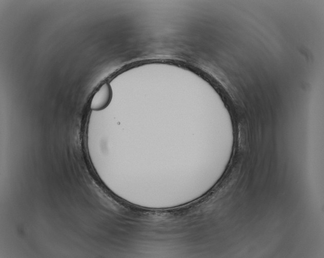 X0000111251452200907301317