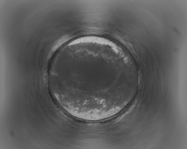 X0000111251453200907301317