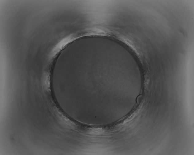 X0000111251455200907301317