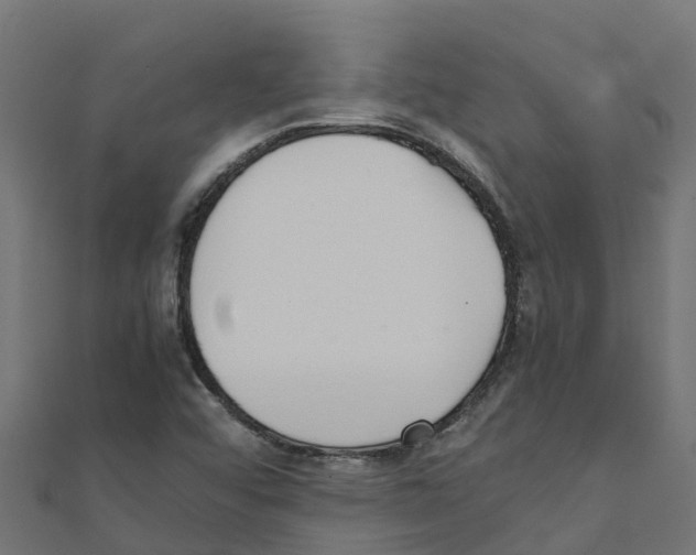 X0000111251456200907301317