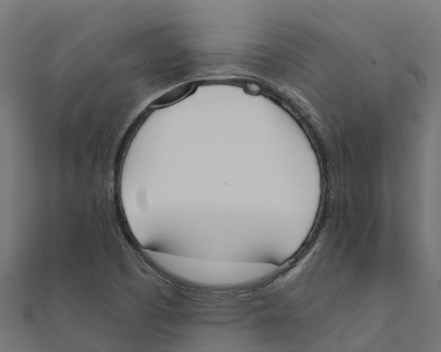 X0000111251457200907301317