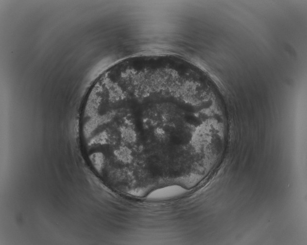 X0000111251459200907301317