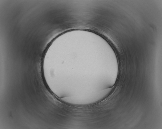 X0000111251460200907301317