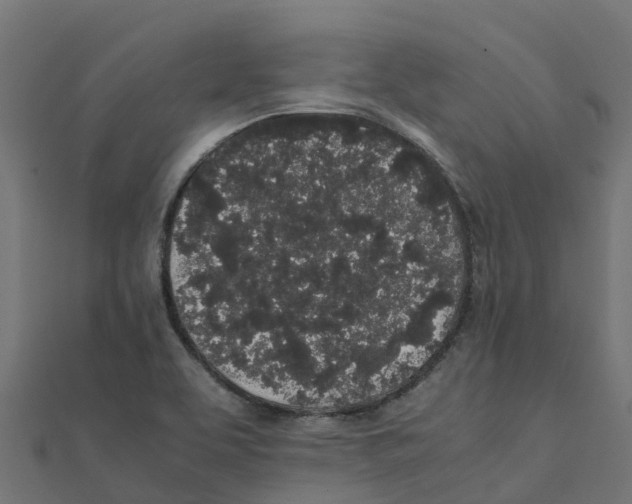 X0000111251463200907301317