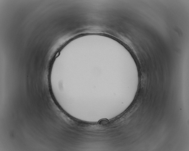 X0000111251464200907301317