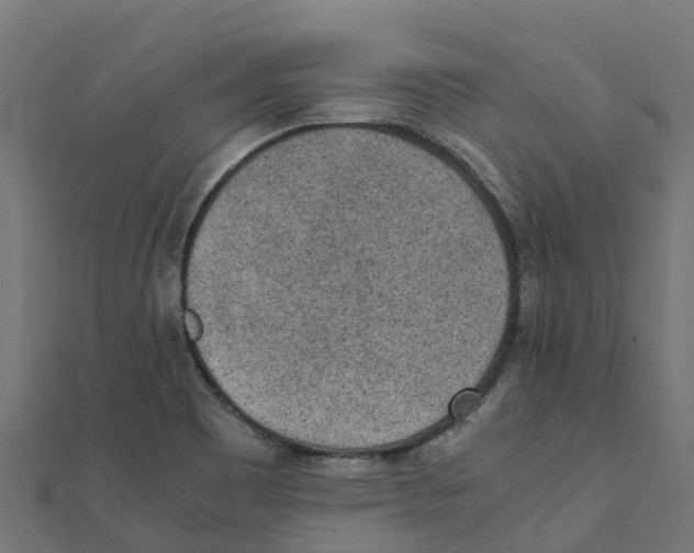 X0000111251465200907301317