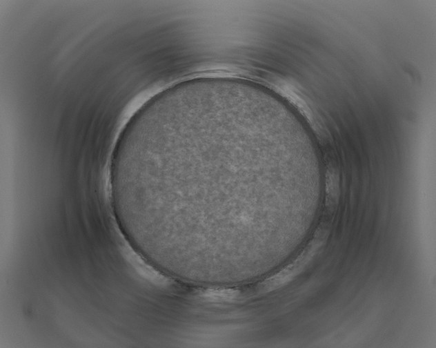 X0000111251466200907301317