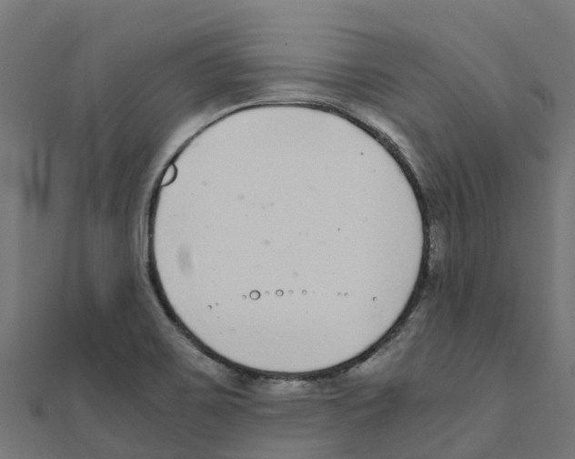 X0000111251467200907301317