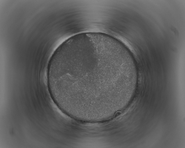 X0000111251468200907301317