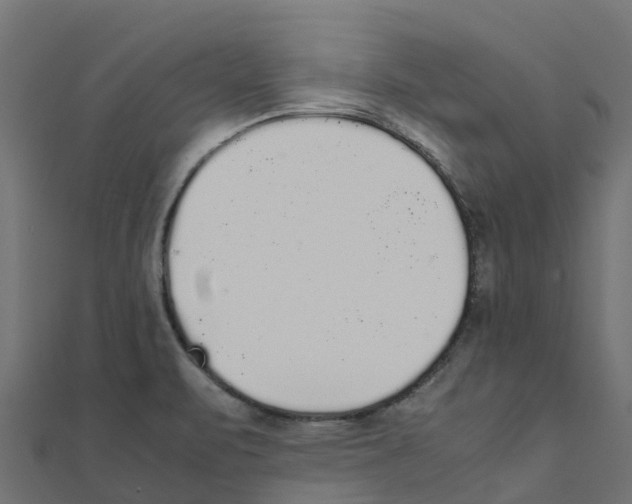 X0000111251471200907301317