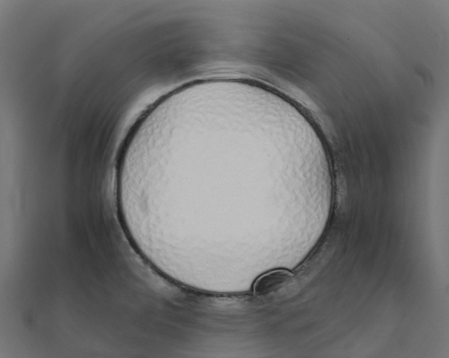 X0000111251472200907301317