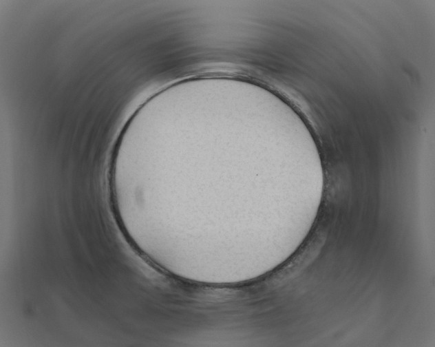 X0000111251475200907301317