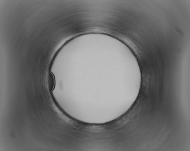 X0000111251476200907301317