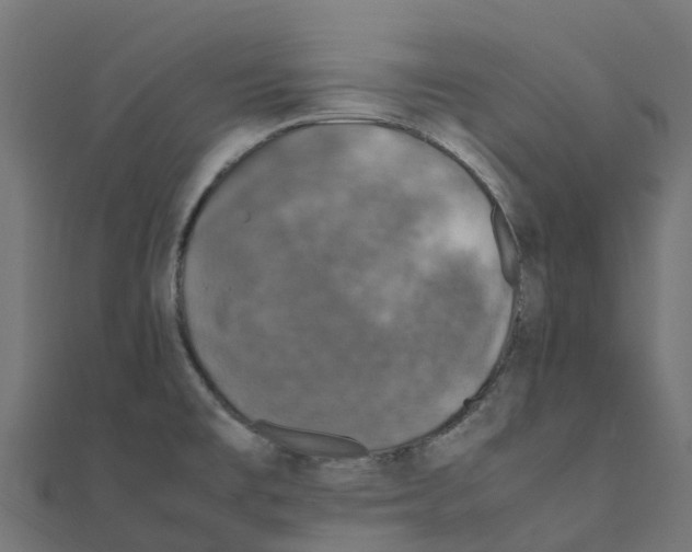 X0000111251477200907301317