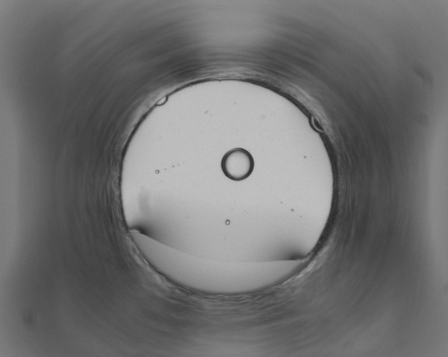 X0000111251481200907301317