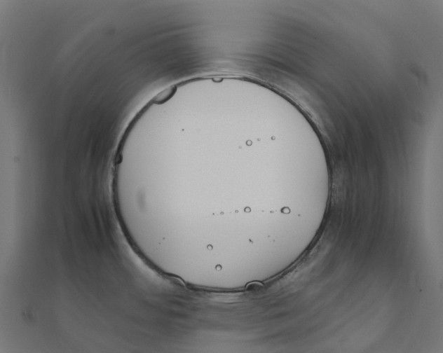 X0000111251484200907301317