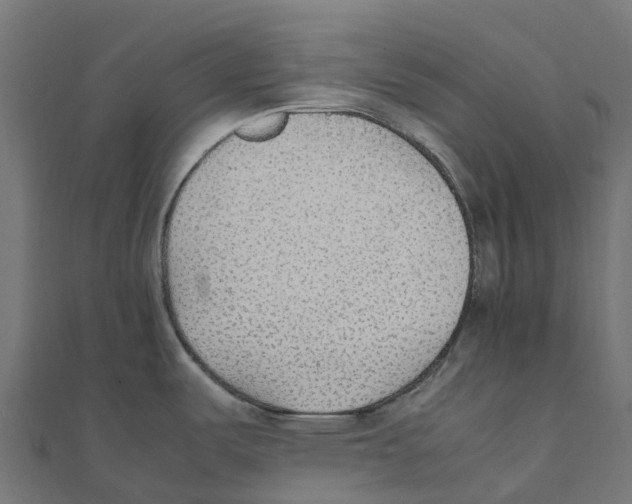 X0000111251487200907301317