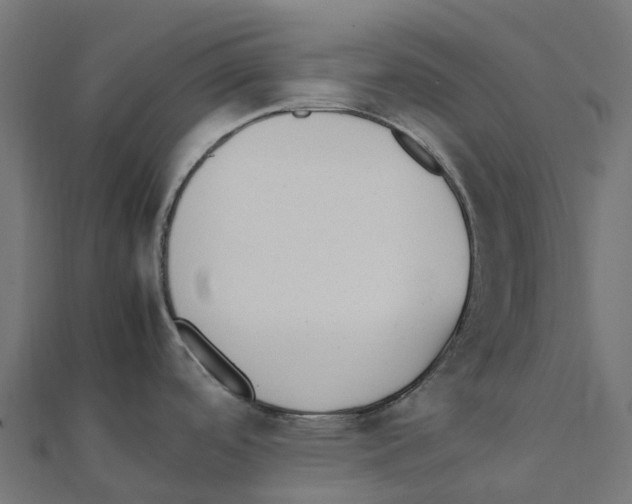 X0000111251488200907301317