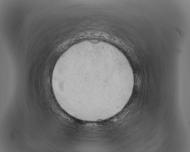 X0000111251489200907301316