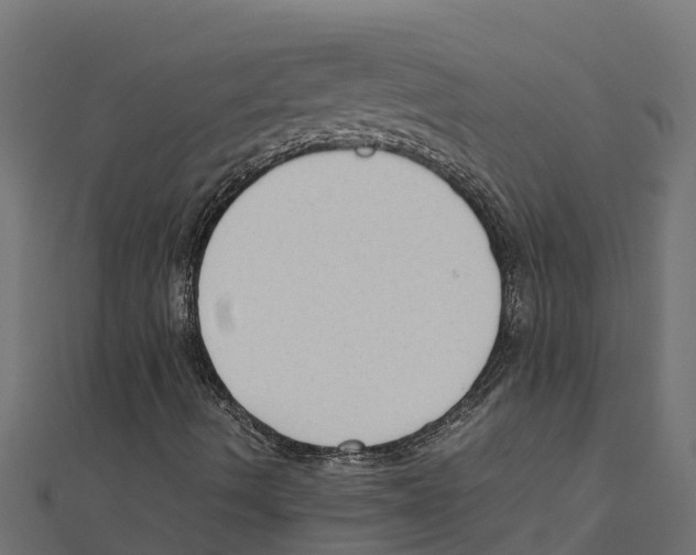 X0000111251490200907301316