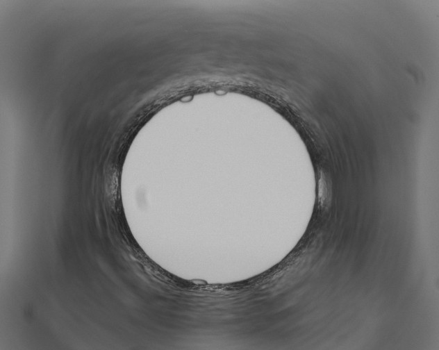 X0000111251492200907301316