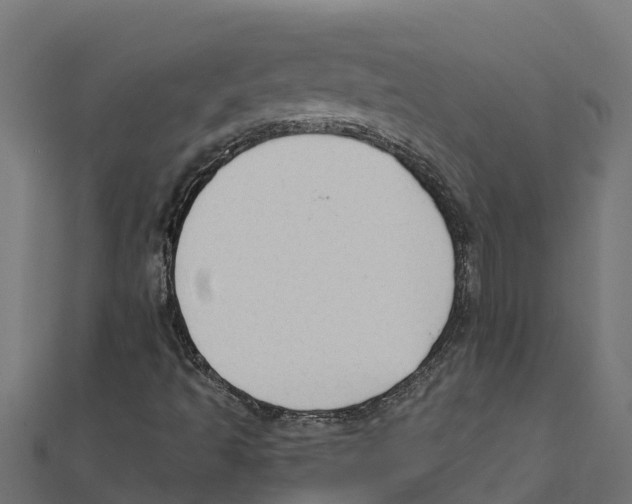 X0000111251493200907301316