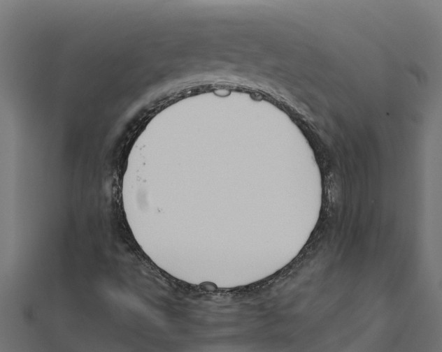 X0000111251495200907301316