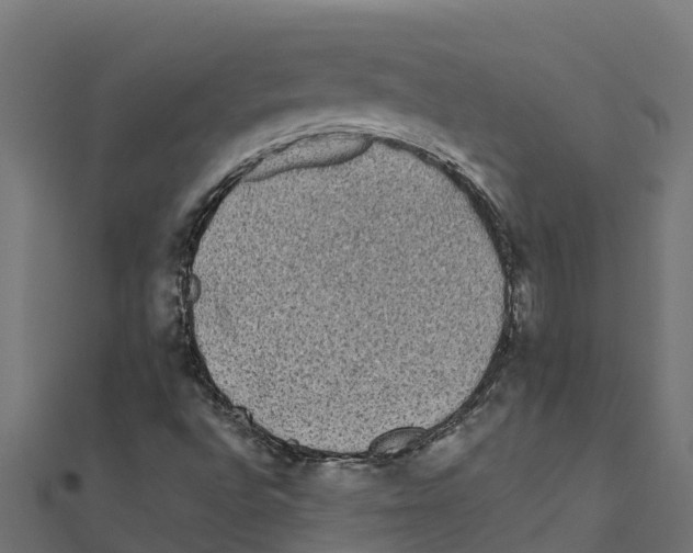 X0000111251496200907301316