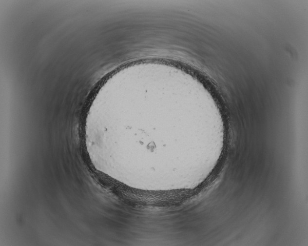 X0000111251497200907301316