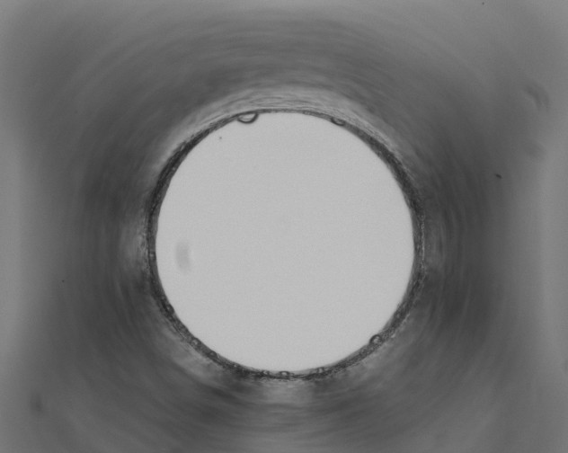 X0000111251498200907301316