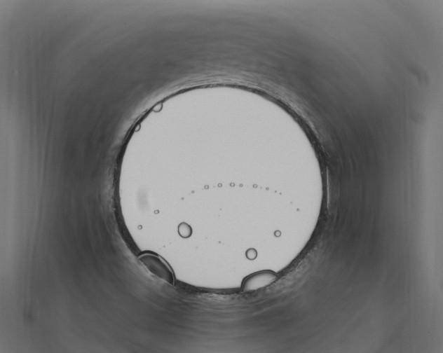 X0000111251500200907301316