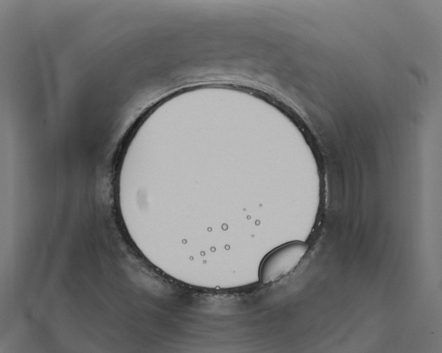 X0000111251501200907301316