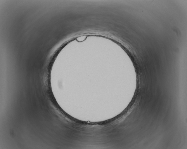 X0000111251502200907301316