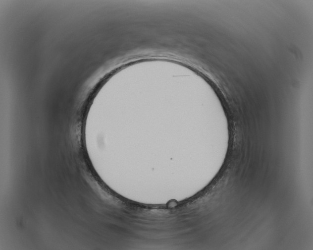 X0000111251503200907301316