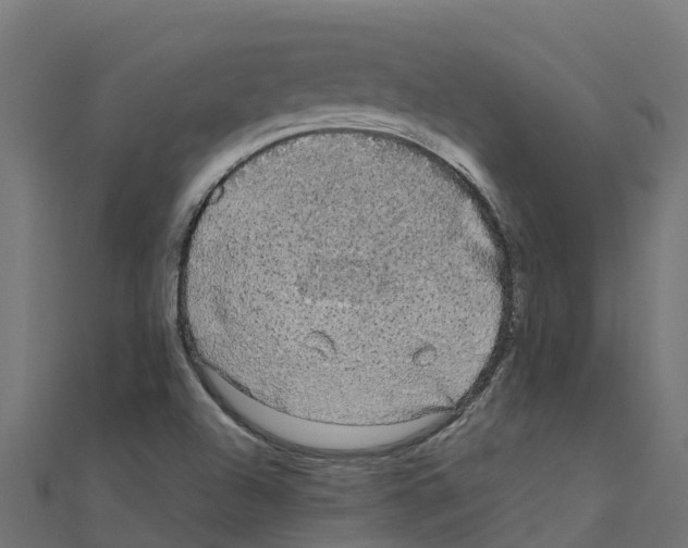 X0000111251504200907301316