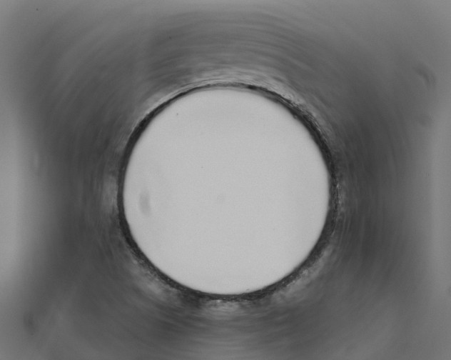 X0000111251505200907301316