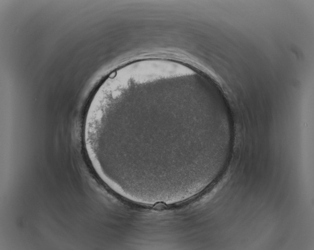 X0000111251506200907301316