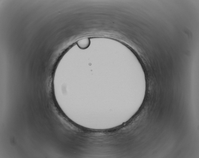 X0000111251507200907301316